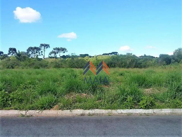 Terreno / Lote para Venda em São José dos Pinhais/PR Afonso Pena