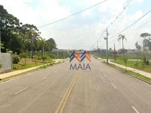 Terreno / Lote para Venda em São José dos Pinhais/PR Afonso Pena