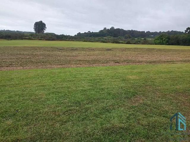Terreno / Lote para Venda em São José dos Pinhais/PR Agaraú