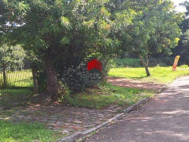 Terreno / Lote para Venda em São José dos Pinhais/PR Águas Belas