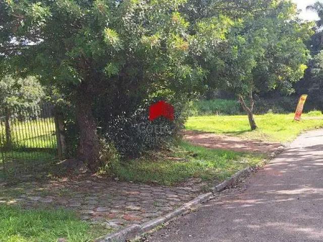 Terreno / Lote para Venda em São José dos Pinhais/PR Águas Belas