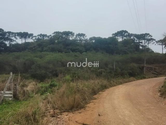 Terreno / Lote para Venda em São José dos Pinhais/PR Área Rural de São José dos Pinhais