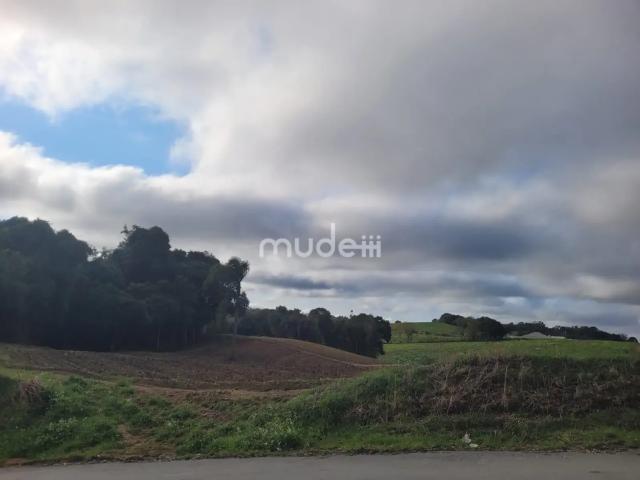 Terreno / Lote para Venda em São José dos Pinhais/PR Área Rural de São José dos Pinhais