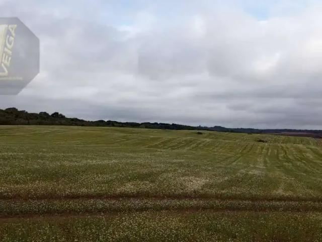 Terreno / Lote para Venda em São José dos Pinhais/PR Área Rural de São José dos Pinhais