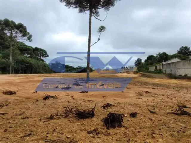 Terreno / Lote para Venda em São José dos Pinhais/PR Aristocrata