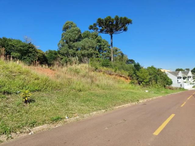 Terreno / Lote para Venda em São José dos Pinhais/PR Aristocrata