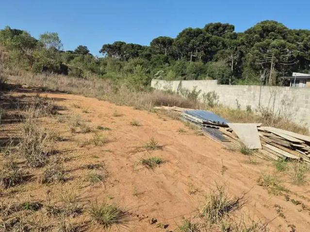 Terreno / Lote para Venda em São José dos Pinhais/PR Aristocrata