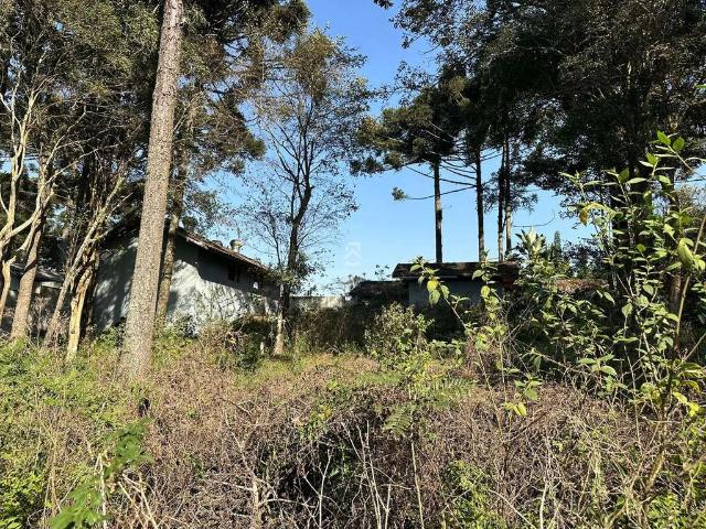 Terreno / Lote para Venda em São José dos Pinhais/PR Aristocrata