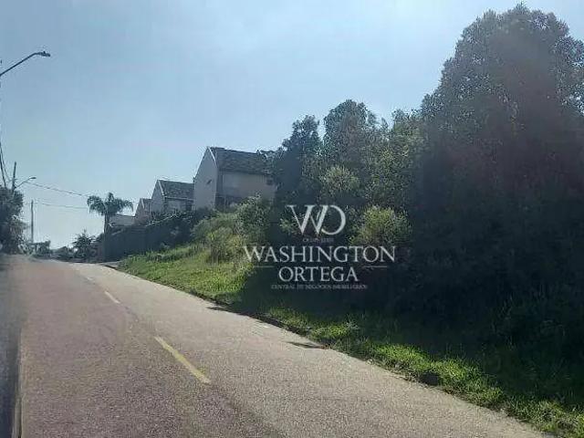 Terreno / Lote para Venda em São José dos Pinhais/PR Aristocrata