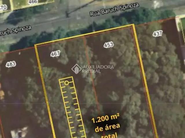 Terreno / Lote para Venda em São José dos Pinhais/PR Aristocrata