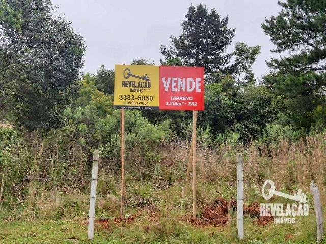 Terreno / Lote para Venda em São José dos Pinhais/PR Aristocrata