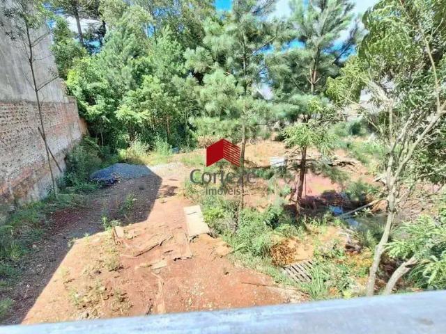 Terreno / Lote para Venda em São José dos Pinhais/PR Aristocrata