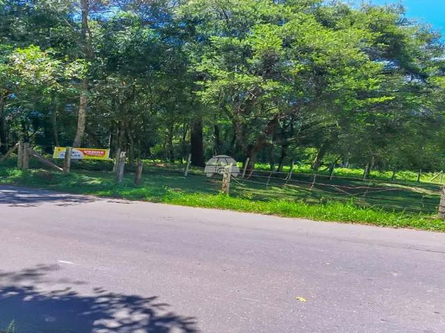 Terreno / Lote para Venda em São José dos Pinhais/PR Aristocrata