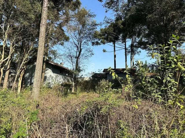 Terreno / Lote para Venda em São José dos Pinhais/PR Aristocrata