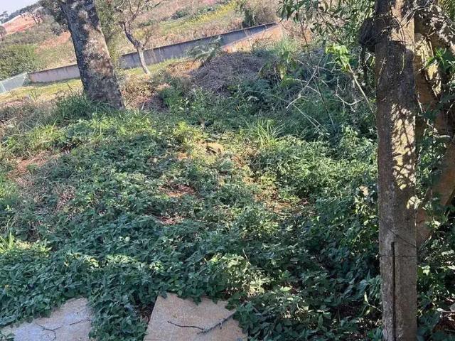 Terreno / Lote para Venda em São José dos Pinhais/PR Aristocrata