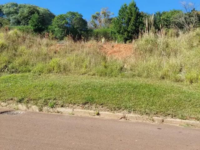 Terreno / Lote para Venda em São José dos Pinhais/PR Aristocrata