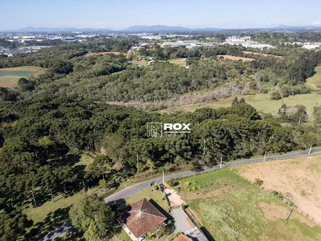 Terreno / Lote para Venda em São José dos Pinhais/PR Arujá