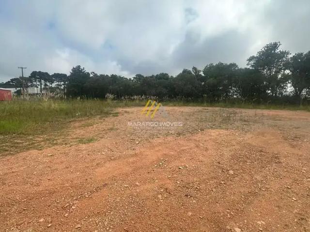Terreno / Lote para Venda em São José dos Pinhais/PR Arujá