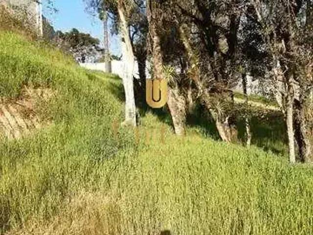 Terreno / Lote para Venda em São José dos Pinhais/PR Barro Preto