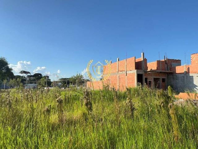 Terreno / Lote para Venda em São José dos Pinhais/PR Barro Preto