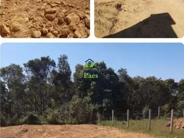 Terreno / Lote para Venda em São José dos Pinhais/PR Barro Preto
