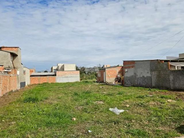 Terreno / Lote para Venda em São José dos Pinhais/PR Barro Preto