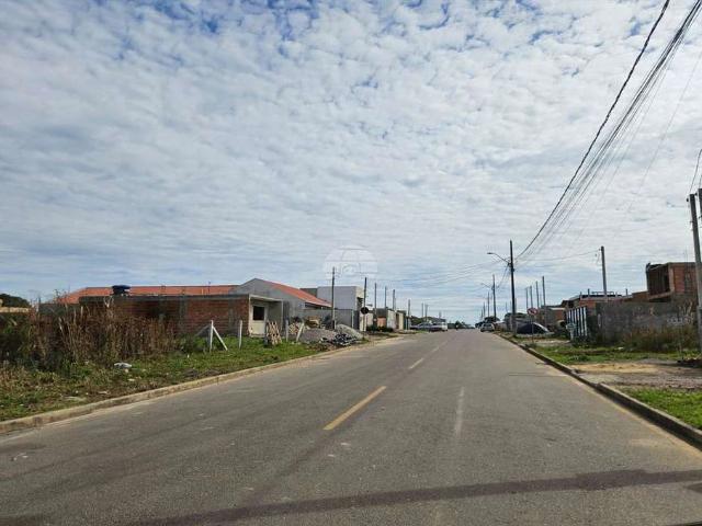 Terreno / Lote para Venda em São José dos Pinhais/PR Barro Preto
