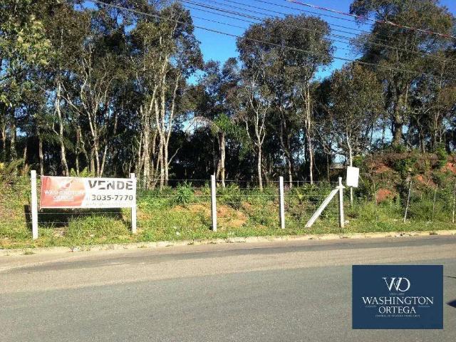 Terreno / Lote para Venda em São José dos Pinhais/PR Barro Preto