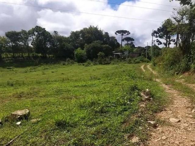 Terreno / Lote para Venda em São José dos Pinhais/PR Barro Preto