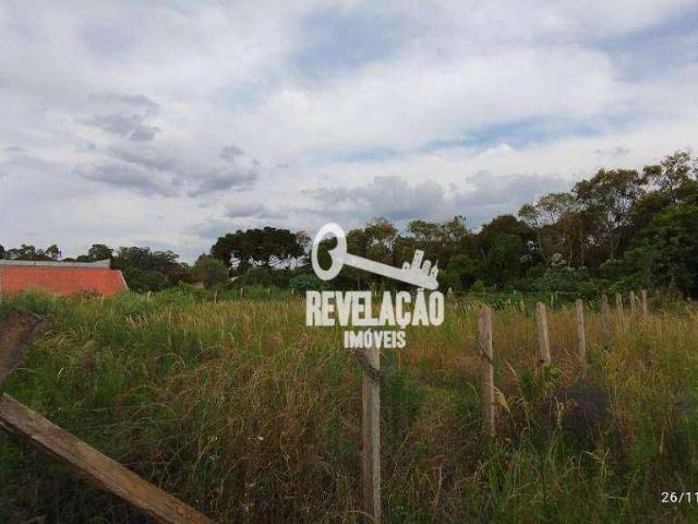 Terreno / Lote para Venda em São José dos Pinhais/PR Barro Preto