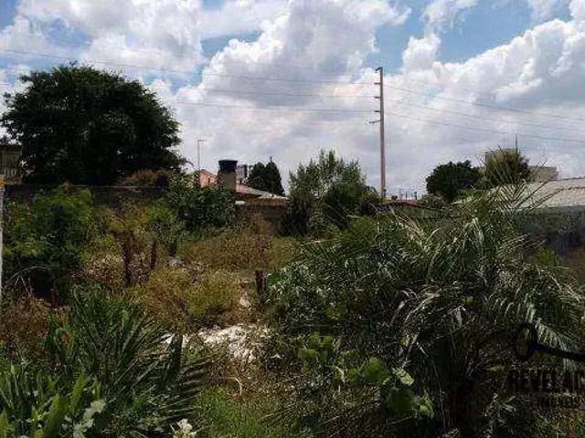 Terreno / Lote para Venda em São José dos Pinhais/PR Boneca do Iguaçu