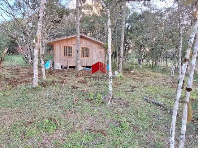 Terreno / Lote para Venda em São José dos Pinhais/PR Borda do Campo