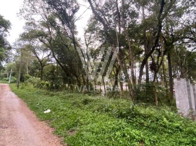 Terreno / Lote para Venda em São José dos Pinhais/PR Borda do Campo