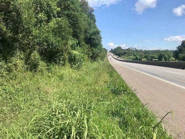 Terreno / Lote para Venda em São José dos Pinhais/PR Borda do Campo