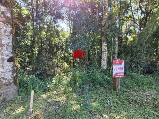 Terreno / Lote para Venda em São José dos Pinhais/PR Borda do Campo