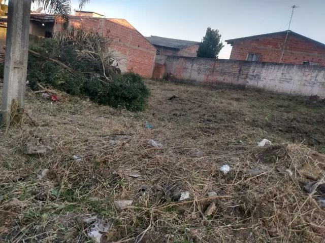 Terreno / Lote para Venda em São José dos Pinhais/PR Borda do Campo