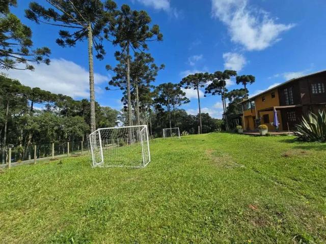 Terreno / Lote para Venda em São José dos Pinhais/PR Borda do Campo