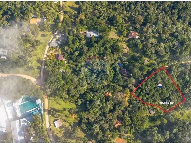 Terreno / Lote para Venda em São José dos Pinhais/PR Borda do Campo