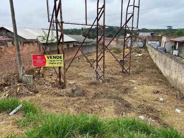 Terreno / Lote para Venda em São José dos Pinhais/PR Borda do Campo