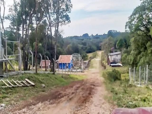 Terreno / Lote para Venda em São José dos Pinhais/PR Borda do Campo