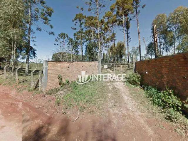 Terreno / Lote para Venda em São José dos Pinhais/PR Borda do Campo