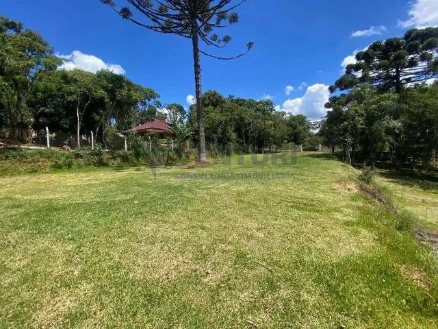 Terreno / Lote para Venda em São José dos Pinhais/PR Borda do Campo