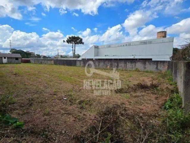 Terreno / Lote para Venda em São José dos Pinhais/PR Braga