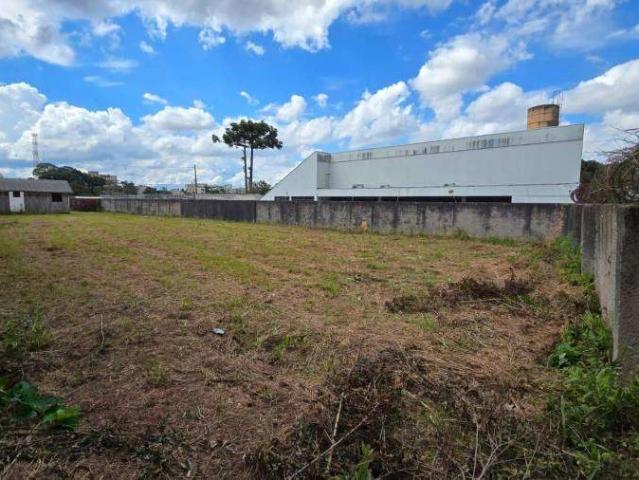 Terreno / Lote para Venda em São José dos Pinhais/PR Braga