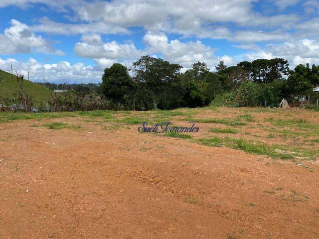 Terreno / Lote para Venda em São José dos Pinhais/PR Braga
