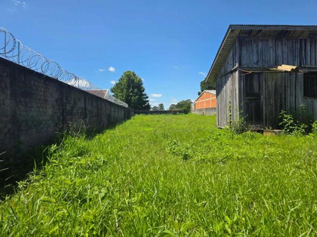 Terreno / Lote para Venda em São José dos Pinhais/PR Braga