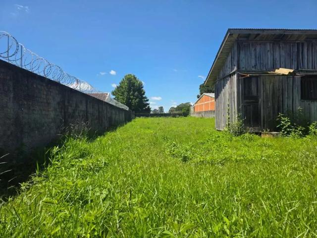 Terreno / Lote para Venda em São José dos Pinhais/PR Braga