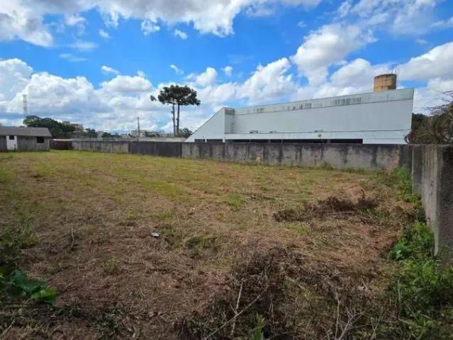 Terreno / Lote para Venda em São José dos Pinhais/PR Braga