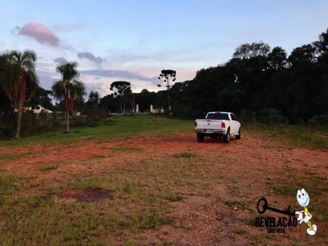 Terreno / Lote para Venda em São José dos Pinhais/PR Cachoeira