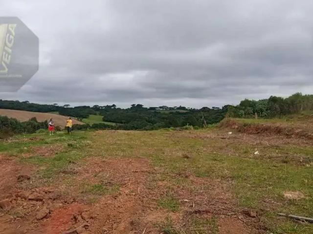 Terreno / Lote para Venda em São José dos Pinhais/PR Cachoeira